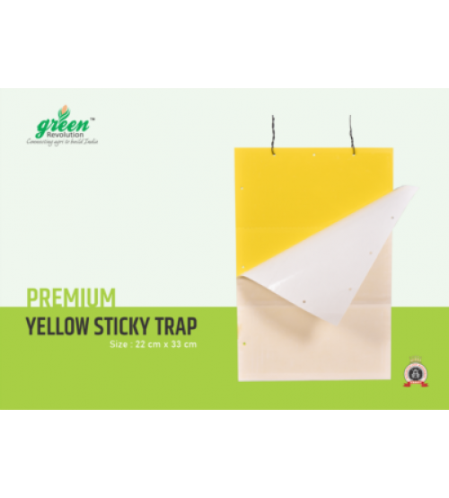 Yellow Sticky Trap - 22 cm x 33 cm